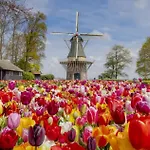 Lycka Holiday home Noordwijkerhout