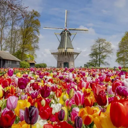 Lycka Holiday home Noordwijkerhout