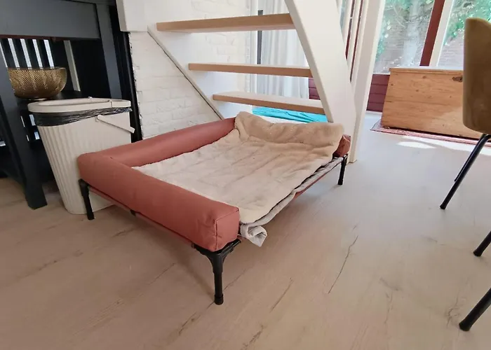 Dom wakacyjny Lycka Noordwijkerhout