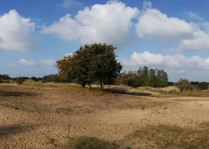 Dom wakacyjny Lycka *