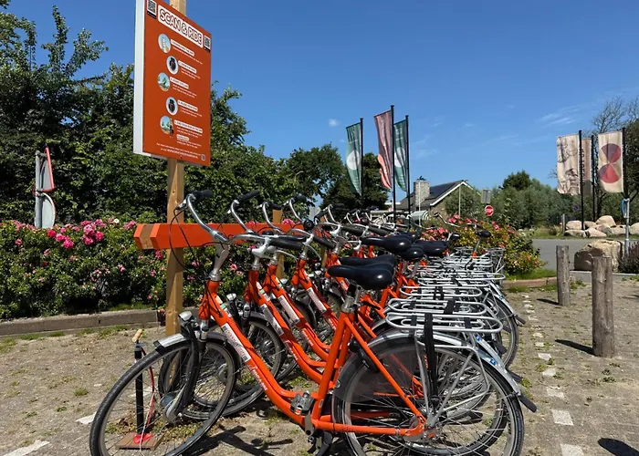 Lycka Noordwijkerhout