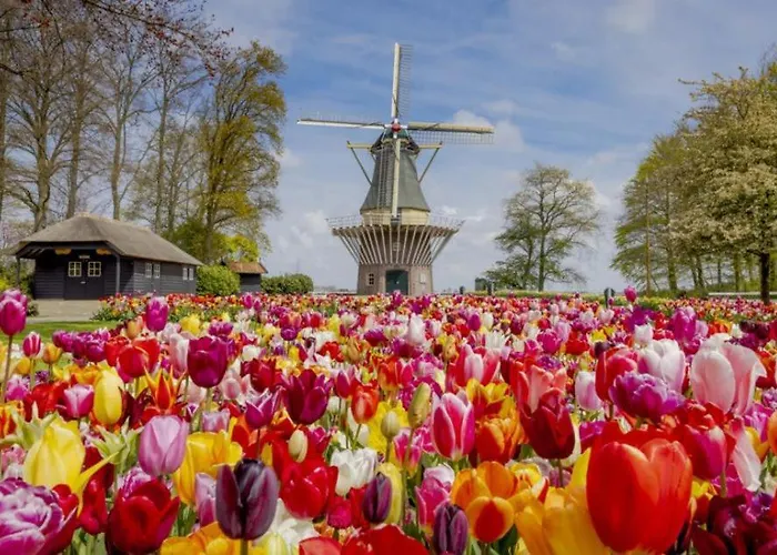 Lycka Vakantiehuis Noordwijkerhout